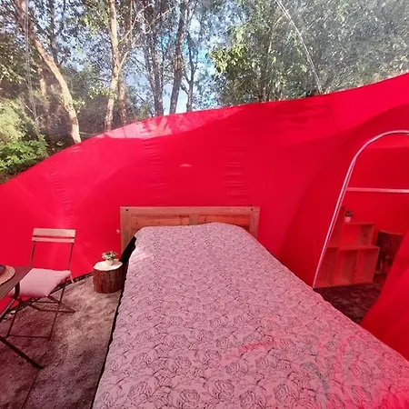 La Piste Aux Etoiles - Love Bulle Campismo de Luxo Vielsalm