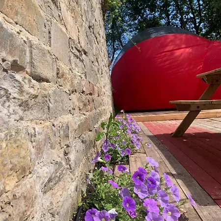 Campismo de Luxo La Piste Aux Etoiles - Love Bulle Vielsalm